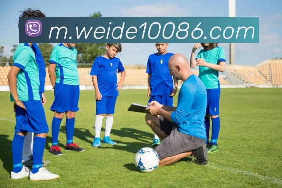 韦德体育平台生态图