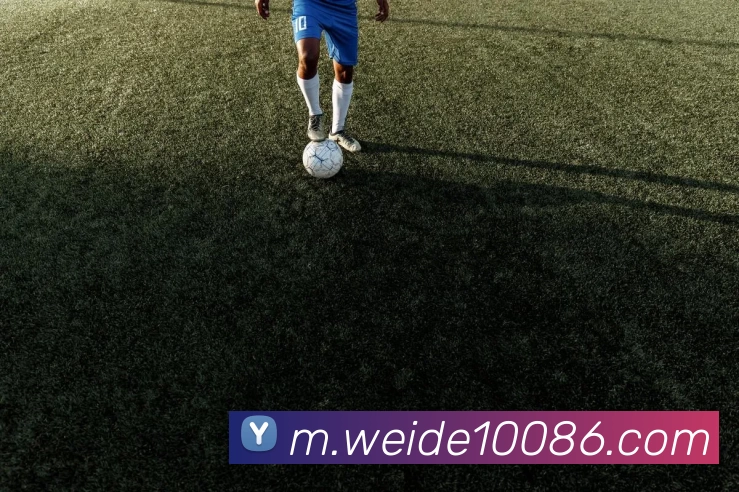 App Interface Preview