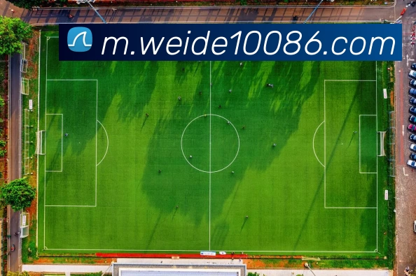 韦德体育APP 封面图